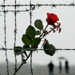 Міжнародний день визволення в’язнів фашистських таборів.