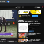 �����. ��� �� ��������.