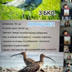 3-    