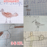  3-    