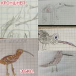  3-    