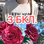 22  -  