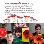 8       .