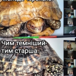   !