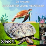   !