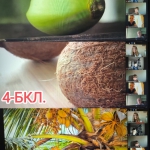 2 �������