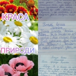 8  -  ,  9 -  .