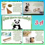 18  -   !