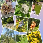 27 �������� - ���� �������.