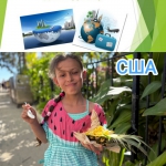 27 �������� - ���� �������.