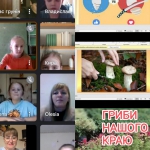 ���� ���� - ������������� ����������� ����