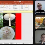 ���� ���� - ������������� ����������� ����