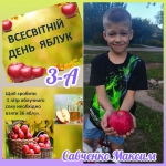 21     . 