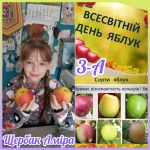 21     . 
