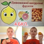 ���������� ����