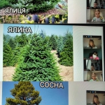 ���� ����������� ������ 