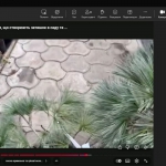 ���� ����������� ������ 