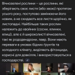 ���� ����������� ������ 