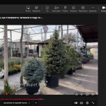 ���� ����������� ������ 