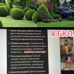 ���� ����������� ������ 