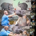 ϳ����� ������� � 4-�