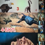 ϳ����� ������� � 4-�