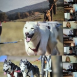 2 ������ - ���� ������� �����