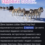 2 ������ - ���� ������� �����