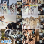 2 ������ - ���� ������� �����