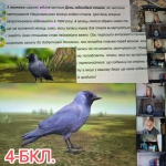 3 ������ � ���� ��������� ������