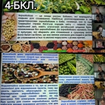 ֳ������� � 4-�