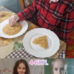 ֳ������� � 4-�