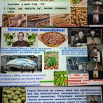 ֳ������� � 4-�