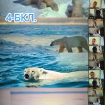 International Polar Bear Day