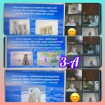 International Polar Bear Day