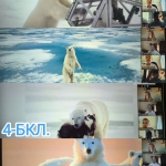 International Polar Bear Day