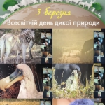 ��������� ���� ���� �������