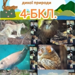 ��������� ���� ���� �������