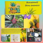 ���� ������� 🍍 � 1-� �� 3-�!