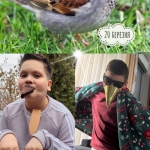 20 ������� - ��������� ���� �������