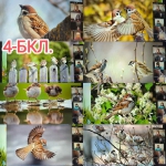 20 ������� - ��������� ���� �������