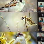 20 ������� - ��������� ���� �������