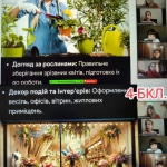 ���� ��������.