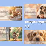 World Stray Animals Day � 7-�