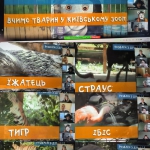 ���� �������� ��������