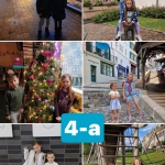 ���� ����� �� ������