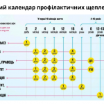 �� ����� ����������