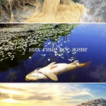 ����� - ��� ��