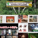 ����� � ��� ������� ��, � �� ������ �� ������!�