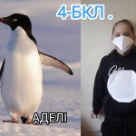 ��������� ���� �������